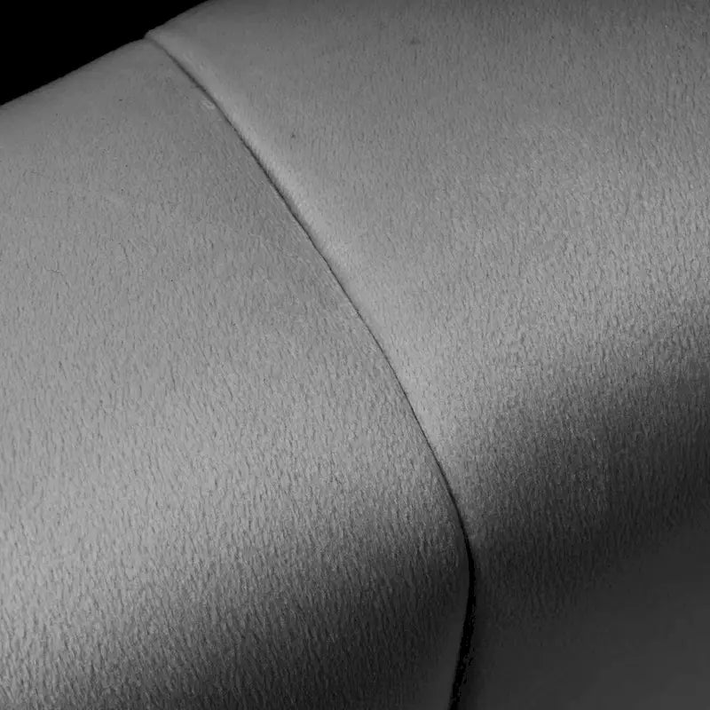 Fauteuil club avec fauteuil d'appoint rembourré moderne Pellebant