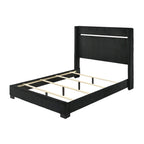 Ensemble de chambre à coucher Pedro 3 pièces en velours noir capitonné